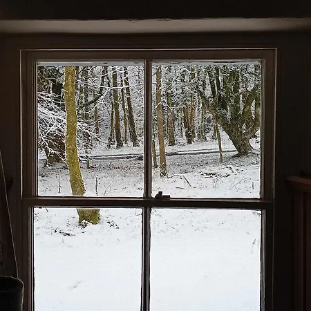 The Dairy - Patterdale Hall דירה *